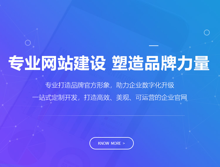 碧江建站-专业网站建设 塑造品牌力量
